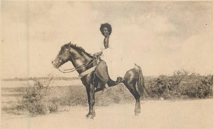 من تاريخ الخيل في موريتانيا