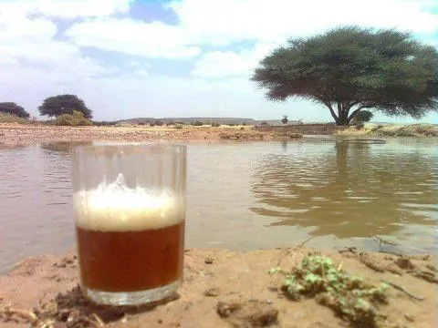 الشاي يكافح التسوس وأمراض اللثة ورائحة الفم