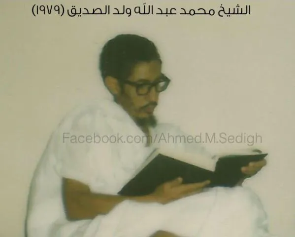 بقلم / أحمد ولد الصديق