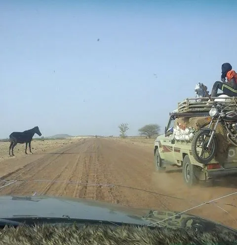 بقلم: أ.خالد الفاظل