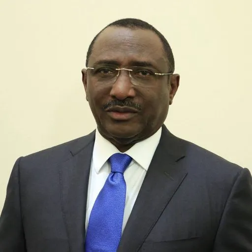 سيديا توري الممثل السامي للرئيس الغني ألفا كوندي.