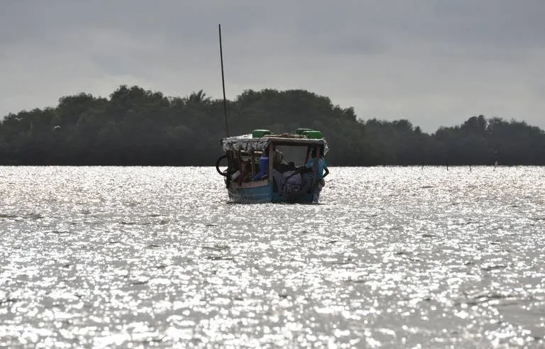768x492_bateau-golfe-guinee-illustration
