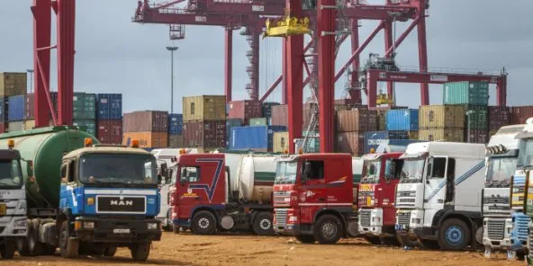 rea_260292_224_1-592x296-1569582753