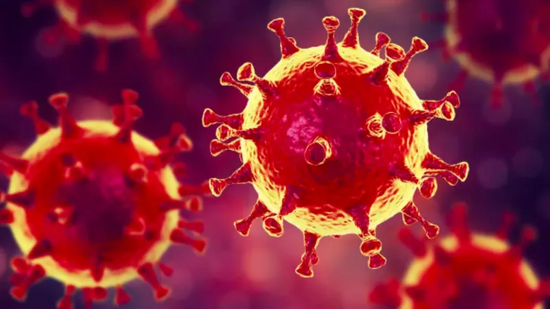 csm_Corona_virus_8e8261d6dd