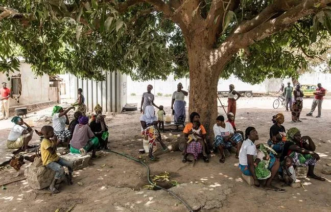 648x415_des-gambiens-deplaces-de-la-frontiere-avec-le-senegal-a-leur-arrivee-dans-le-village-de-bujinha-le