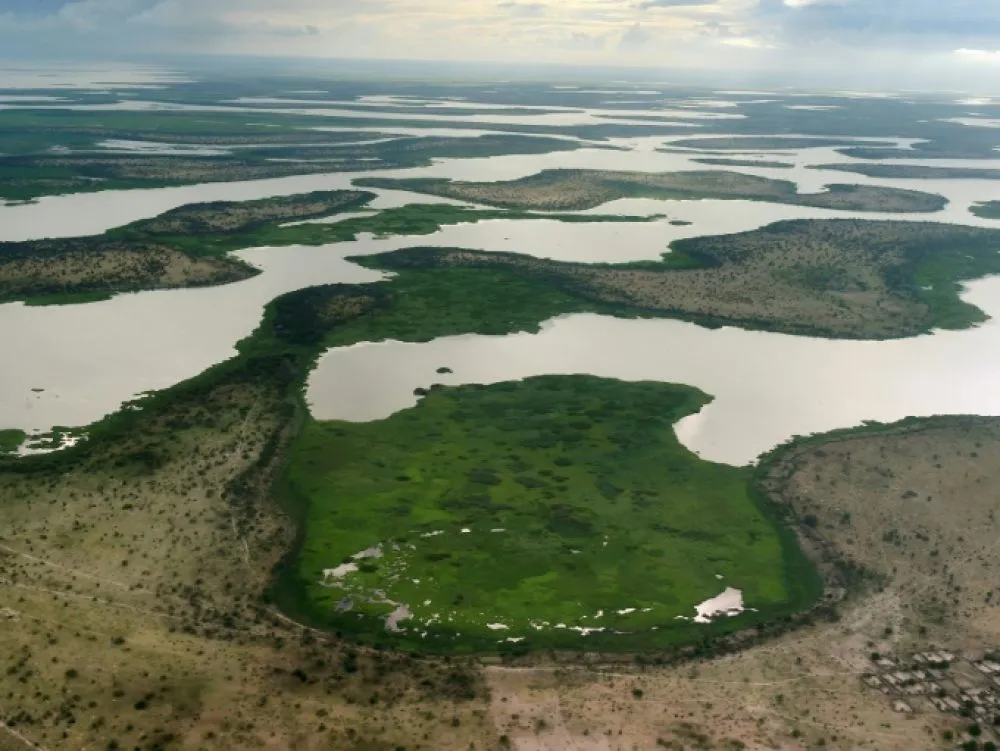 cover-r4x3w1000-5e9099ef4ff35-49514739d346f75cfc0a7cbc1f9ff2545f09032e-jpg (1)