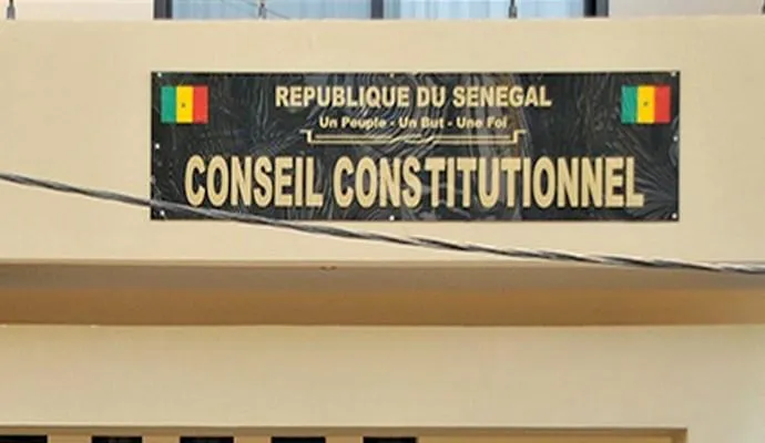 Conseil-constitutionnel (1)