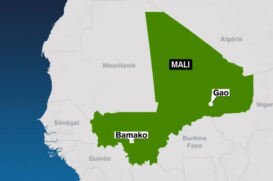 field_media_image-1213195-CARTE_MALI_GAO_1