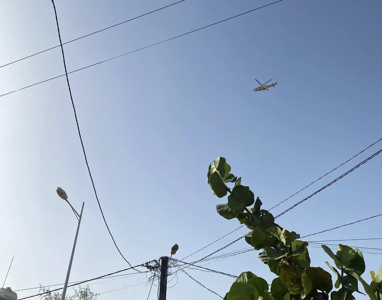 557339318_10234392561409119_1029322448078894860_n