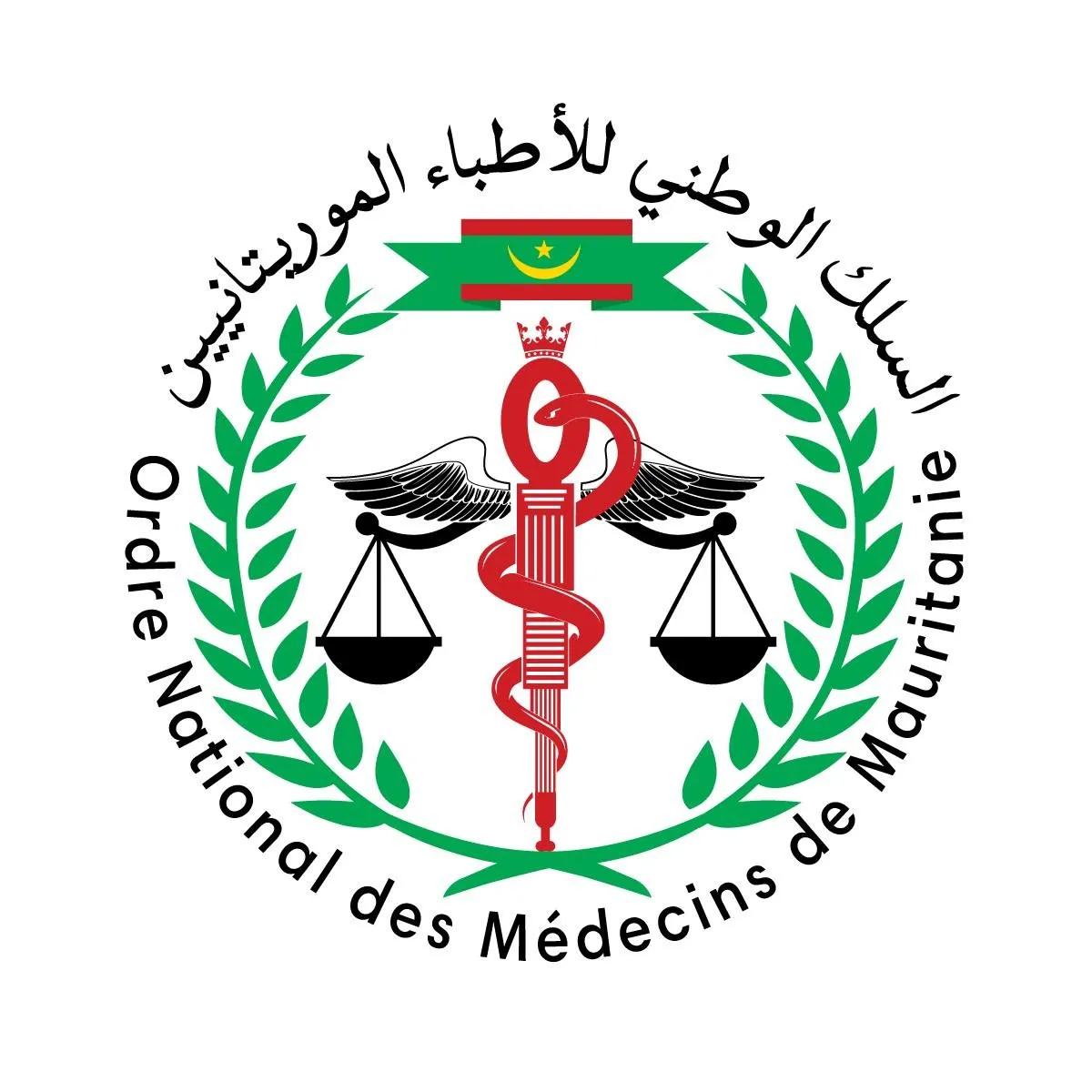 8f356a3b-290f-4667-9d77-ce1ba9c26a20