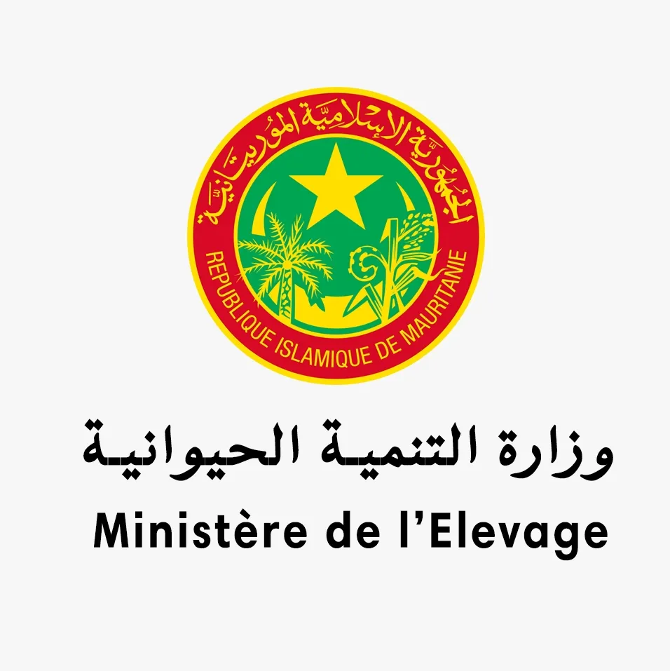 241647496_123714993343714_5855222581941098269_n