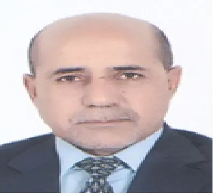 الدكتور/ محمد محمود محمد سالم / أستاذ جامعي