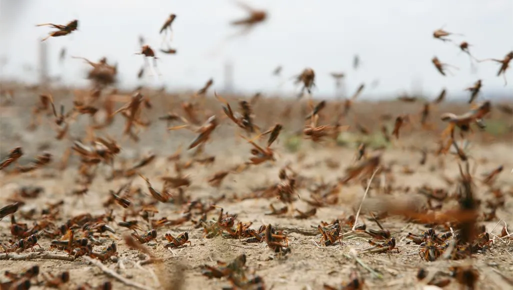 c00c1f59-4d8a-4a99-a7b0-9bd82db675a1