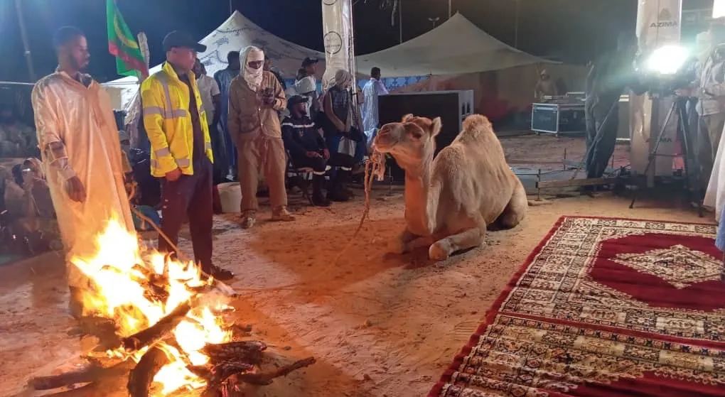 153ad96d-080f-4c71-9f73-9ed005c5ec9f