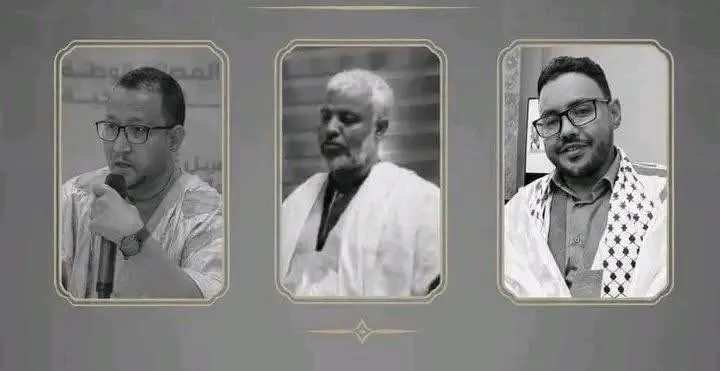 8d15d679-347c-441a-b91d-cff565526912