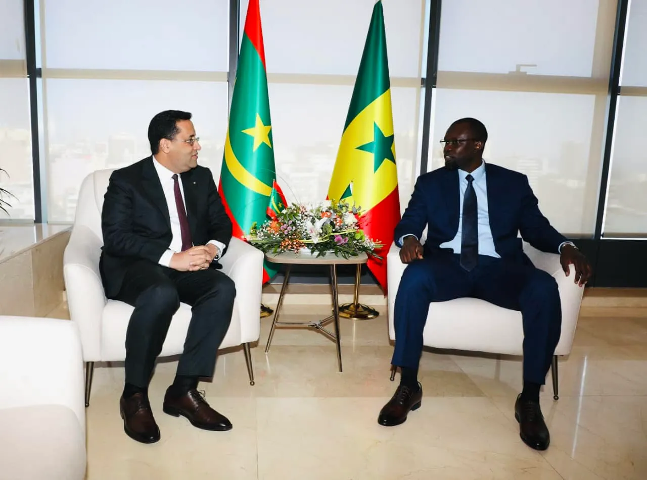 613244474_1202360645402289_5079870894341996959_n