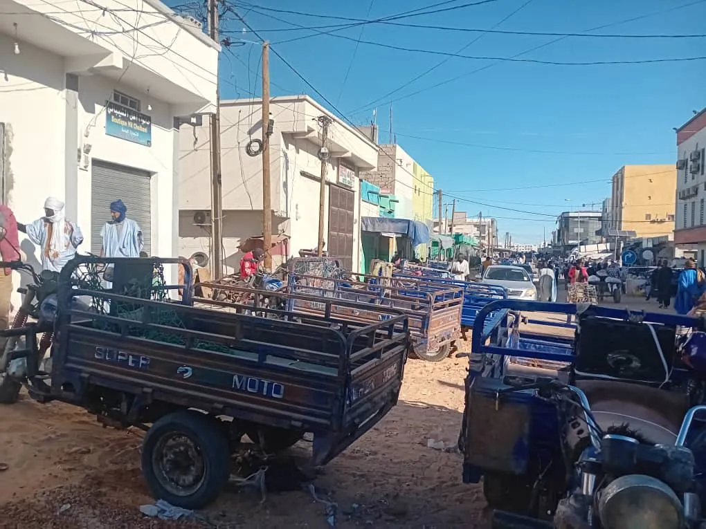 cd53b4d1-e0bb-487e-83e7-77adc8fa071d